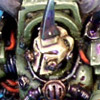 Typhus